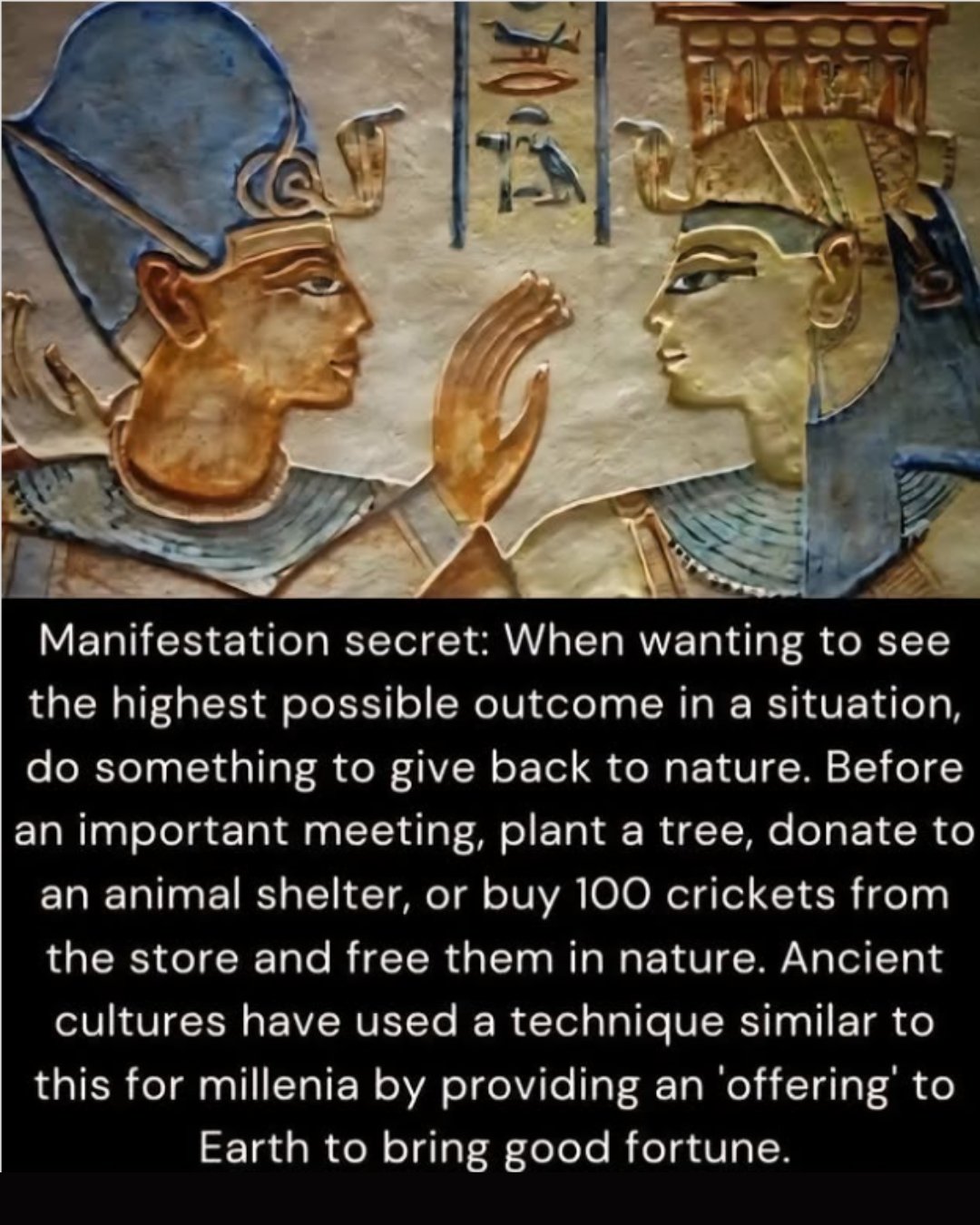 Manifestation secret: When wanting to see the highest possible outcome in a situation, do something to give back to nature. Before an important meeting, plant a tree, donate to an animal shelter, or buy 100 crickets from the store and free them in nature. Ancient cultures have used a technique similar to this for millenia by providing an 'offering' to Earth to bring good fortune.
#manifestation #nature #abundance #deepikaseksara #earth